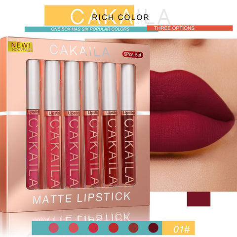 TikTok 6 PCS Matte Lip Gloss Set waterproof