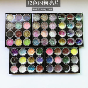 Nail accessories  nail sequins glitter 12 color  Tiktok